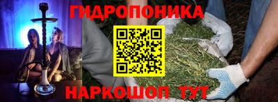 винт Шахты