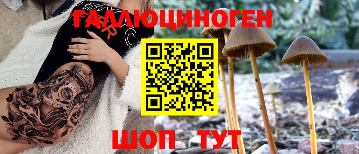 купить закладку  Псилоцибиновые грибы Cubensis  Бугуруслан  Вход с VPN  Галлюциногенные грибы прущие грибы 